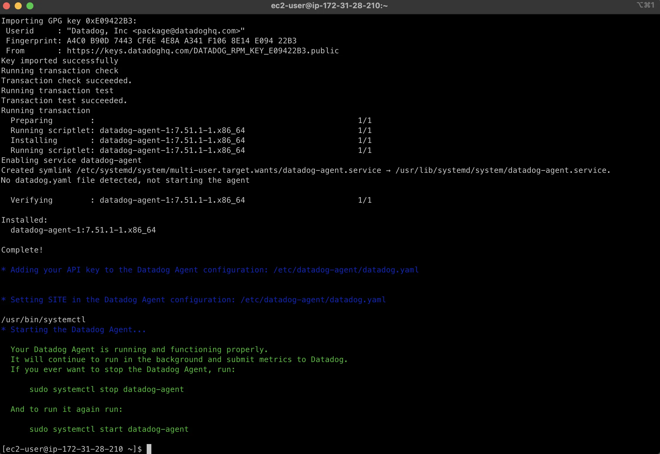 Terminal showing Datadog agent installation process