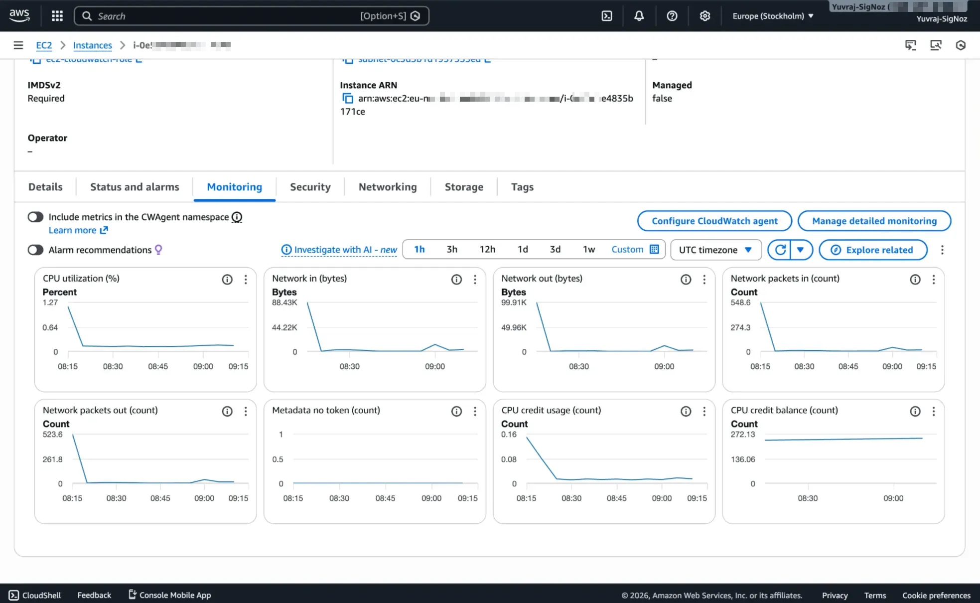 EC2 instance Monitoring tab in the AWS Console showing default CloudWatch metrics like CPU utilization and network traffic