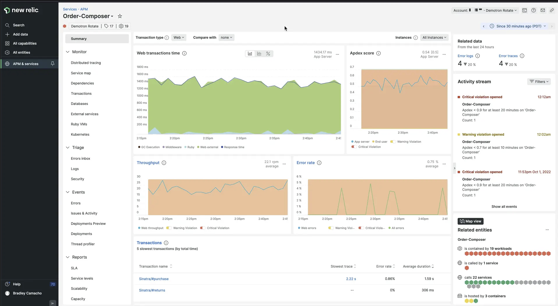 New Relic APM dashboard